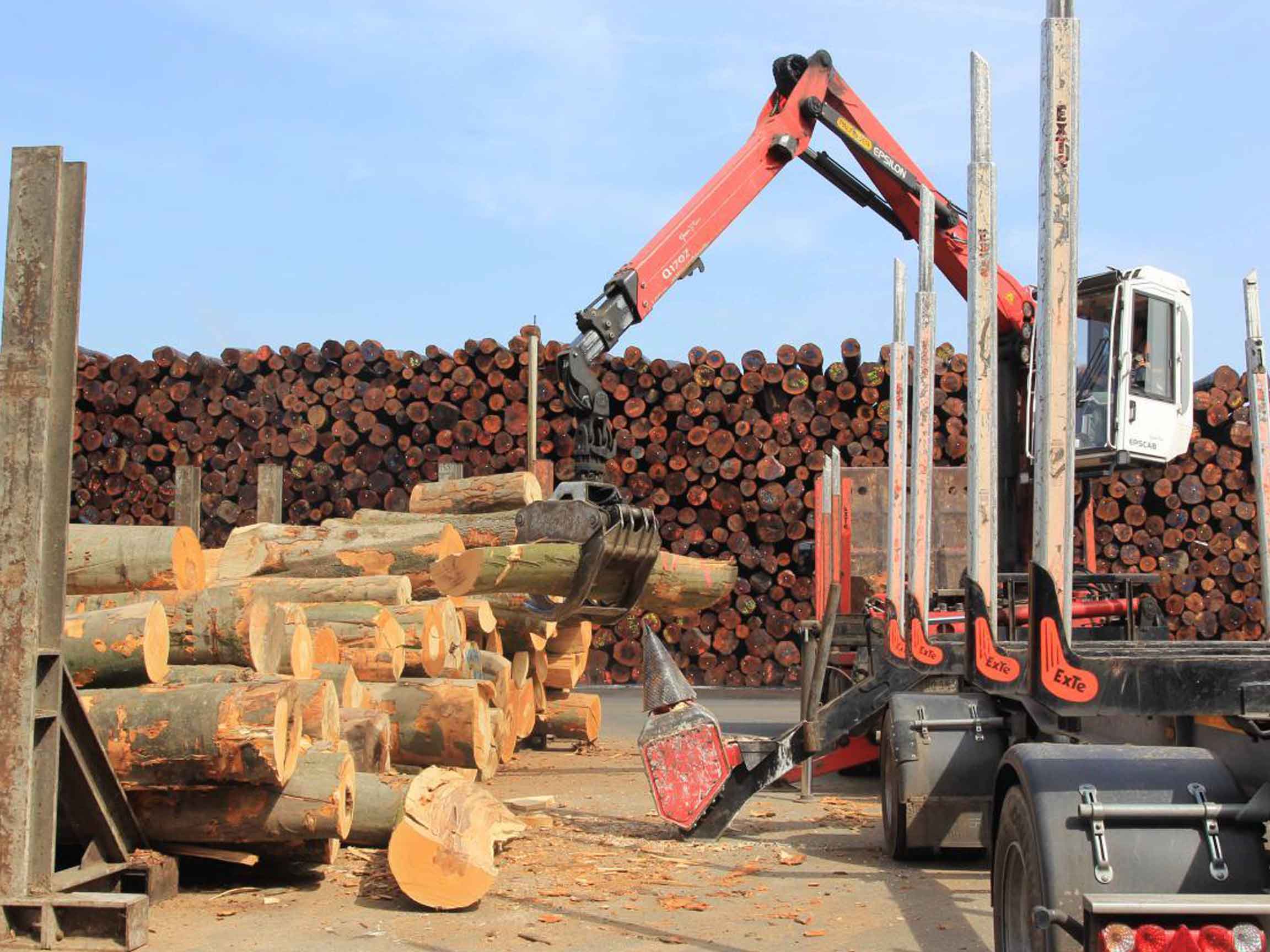 German timber supply base
